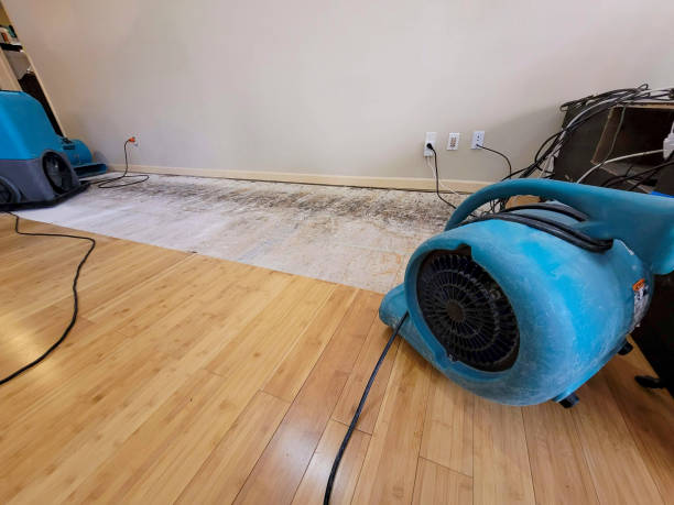 Professional Flood Damage Cleanup technician working in Sun Valley, PA